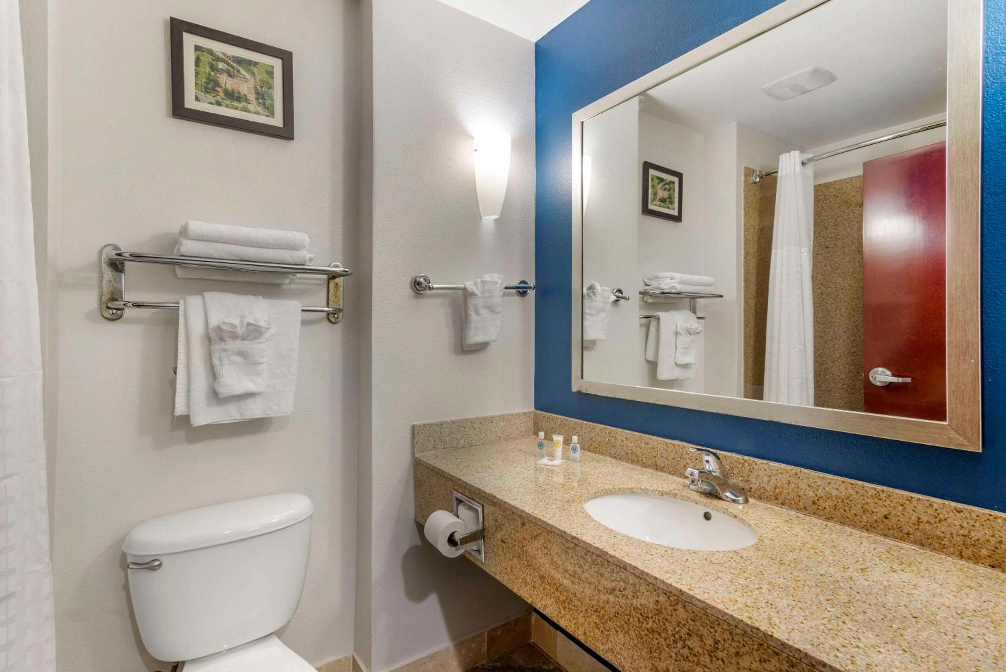Hotel Comfort Atlanta Airport 3*
